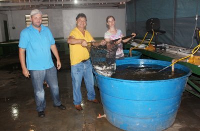 Meta é comercializar cerca de 5 mil quilos de peixe (Foto: Prefeitura de Xaxim)