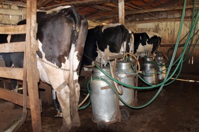 Xaxim possui uma produção mensal de aproximadamente três milhões de litros de leite (Foto: Arquivo/LÊ)