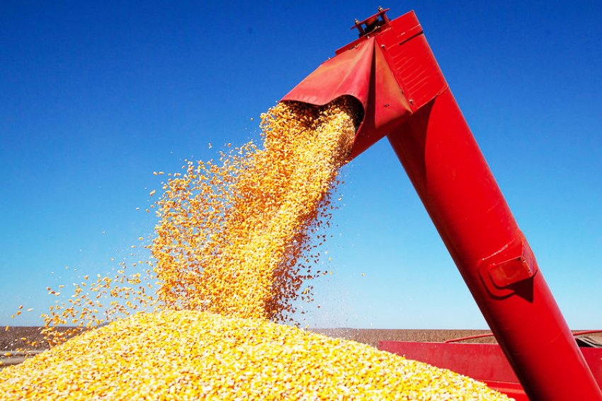Valorização dos grãos no mercado internacional aumentou os custos de produção de proteína animal e os preços dos alimentos cárneos