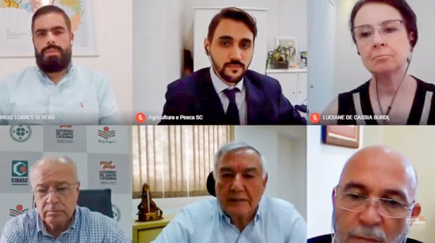 Em videoconferência, lideranças do setor debateram a importância da manutenção do status sanitário catarinense