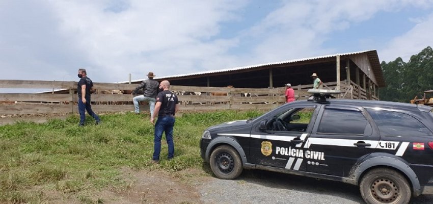 Ação da Polícia Civil de Santa Cecília durante recuperação de animais furtados em fevereiro