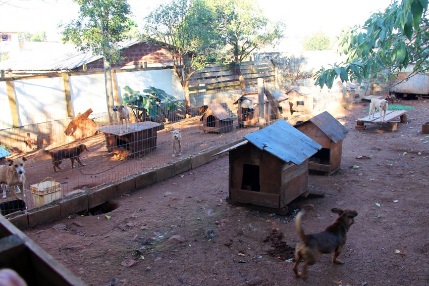 Inquérito Civil  foi aberto para apurar problemas causados por um abrigo informal no bairro Guarany (Foto: Arquivo/LÊ)