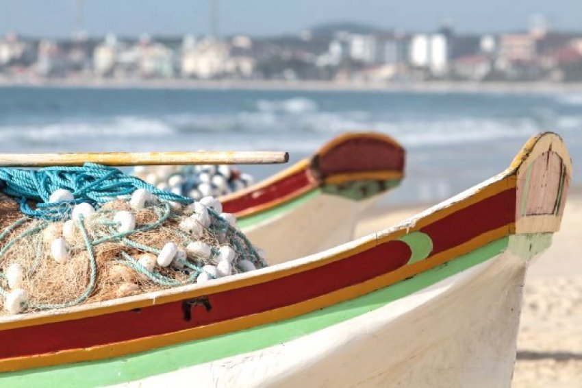 Linha de crédito especial oferecerá financiamentos sem juros para pescadores artesanais em Santa Catarina 