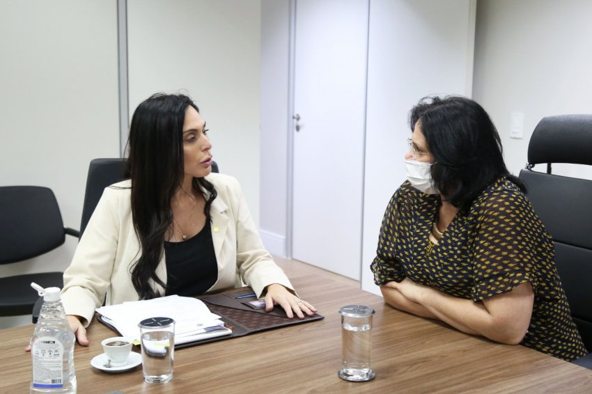 Encontro da deputada Geovania de Sá com a ministra Damares Alves