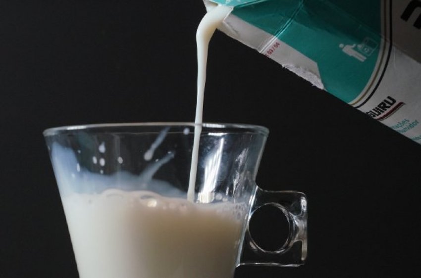 Formada por Paraná, Santa Catarina e Rio Grande do Sul, a Aliança Láctea foi criada para discutir os desafios e oportunidades comuns entre o setor produtivo do leite nos três estados