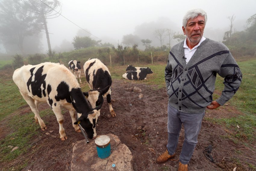 José Araújo de Chapecó conta com o apoio do Estado para manter a produção de 82 vacas leiteiras