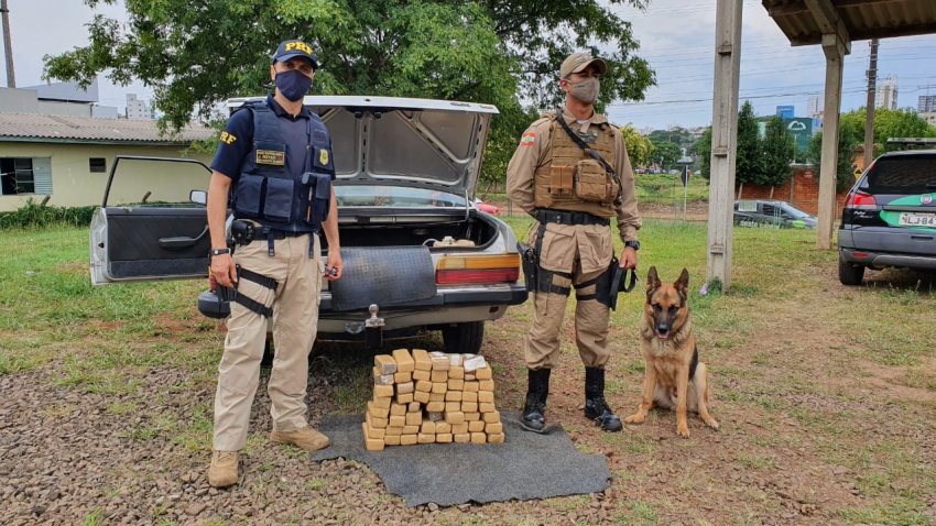 Droga foi encontrada com o apoio de um cão treinado e de policiais militares