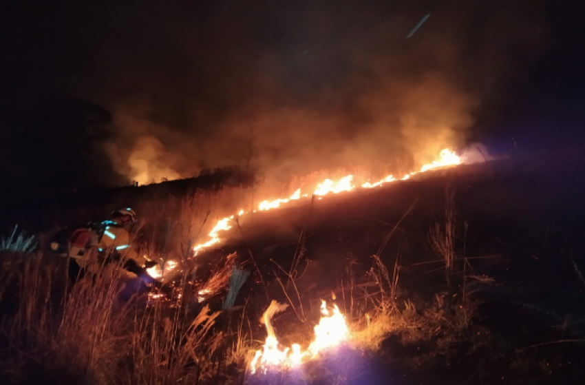 Cerca de 1,5 hectare de vegetação rasteira já havia sido destruída pelo fogo antes do combate pelos bombeiros