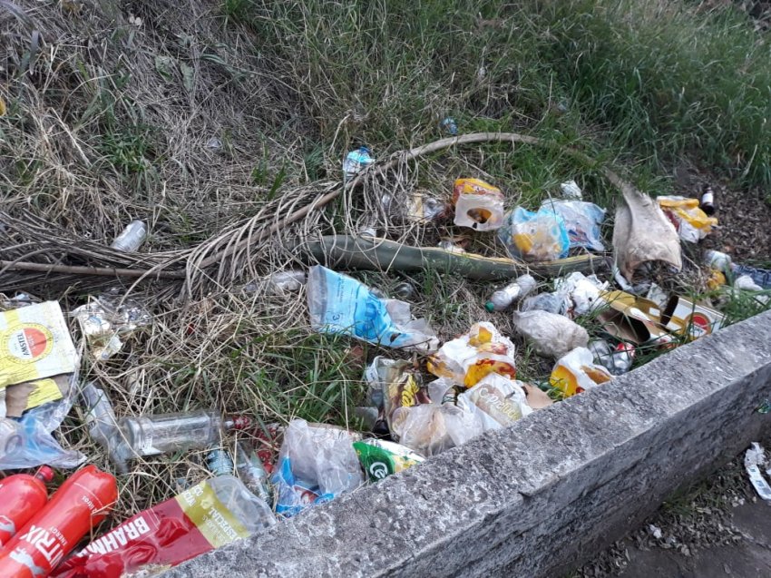Grupo recolheu lixo acumulado na extensão da avenida Plínio Arlindo De Nês