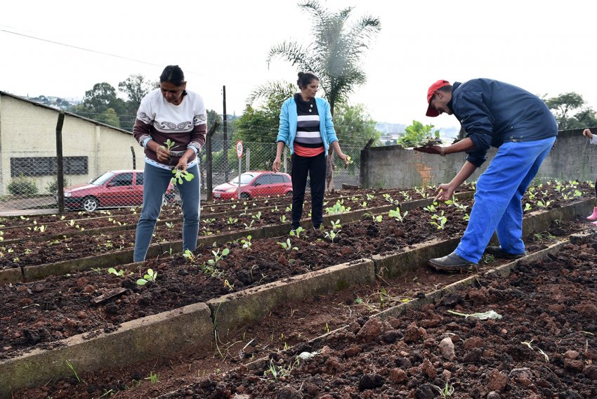 Plantio de hortaliças alimentará famílias do bairro Santa Terezinha e incentivará cooperação e amizade (Foto: Prefeitura de Xaxim)