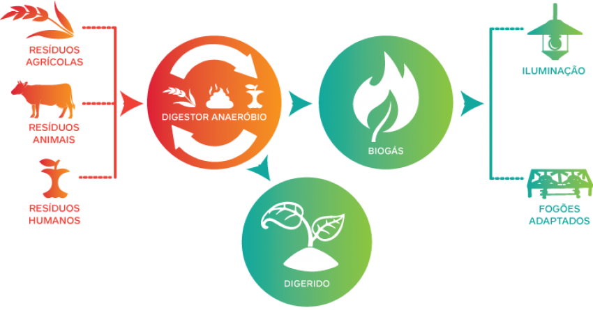 Sistema do biogás oferece diversas vantagens à natureza e ao ser humano (Foto: Divulgação/LÊ)