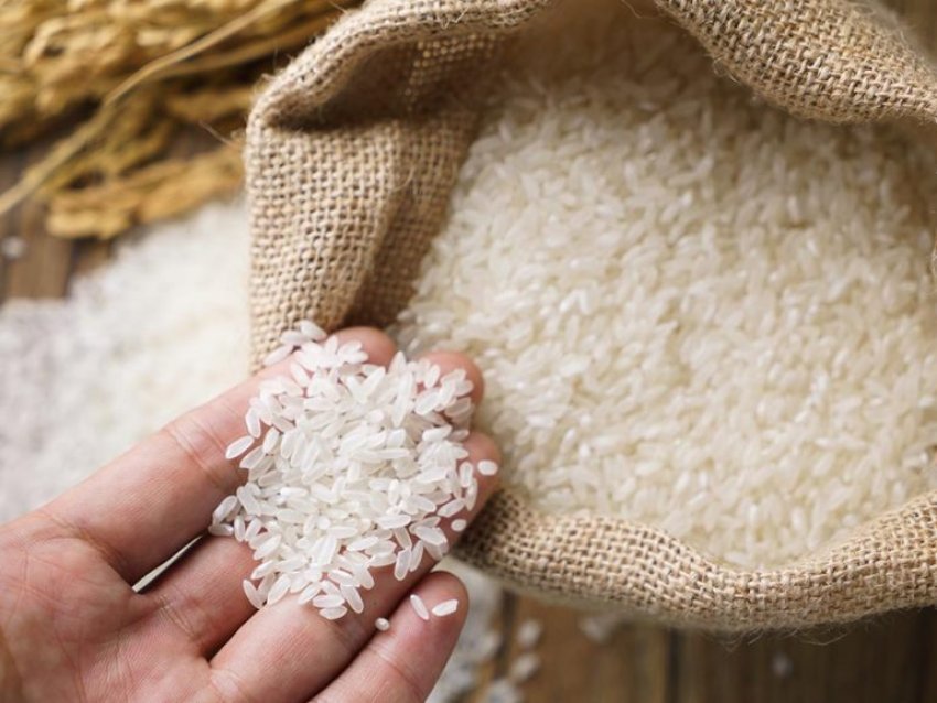 Em 2018, os produtores catarinenses já embarcaram 82,7 mil toneladas de arroz para abastecer outros países