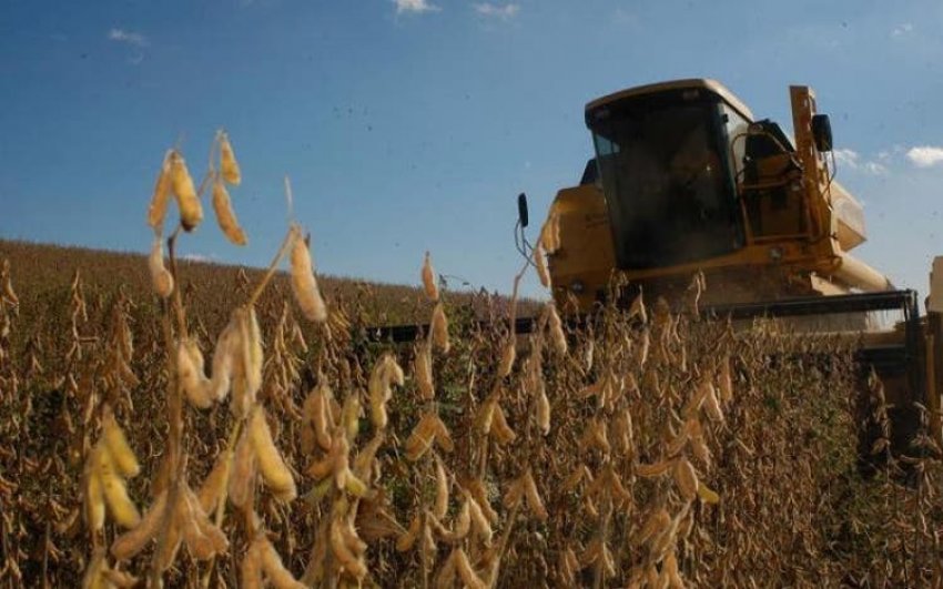 O que preocupa os agricultores são os preços menores da soja e milho, principais produtos de comercialização