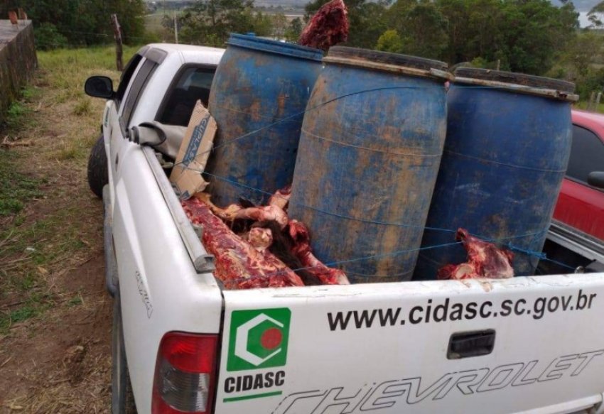 De acordo com a Cidasc, cerca de 450 kg de carne de cavalo foram apreendidas em Imaruí, no Sul do Estado